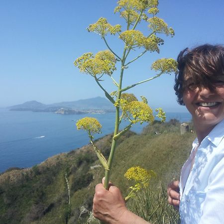 Mary'S Dream - Villa Overlooking Capri And Ischia In Sorrento Peninsula Massa Lubrense Dış mekan fotoğraf